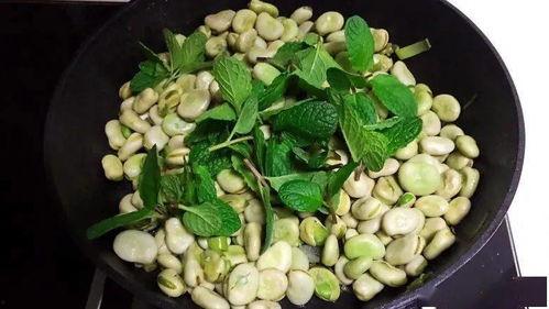 吃附子瓜腹胀,探究病因与防治策略