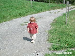 梦到偷别人瓜吃,揭秘偷瓜梦的神秘寓意