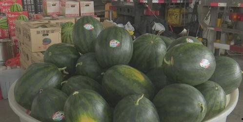 近期热门吃瓜事件 长沙,揭秘近期热门“瓜”事