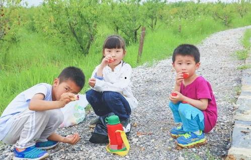 合肥三瓜公社吃,合肥特色美食之旅，探寻瓜果飘香的小镇风情”