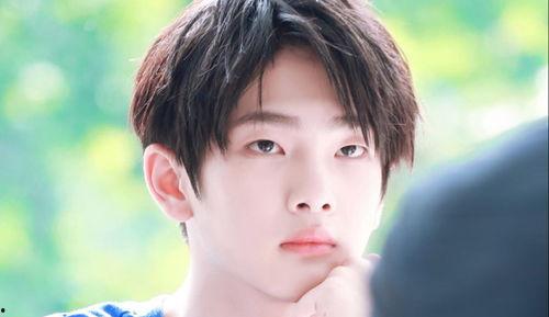 顾廷烨吃瓜吃自己头上,瓜田里的“瓜王”奇遇记