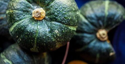 吃了小瓜吃大瓜会胖吗,吃瓜减肥两不误？揭秘吃瓜与体重关系