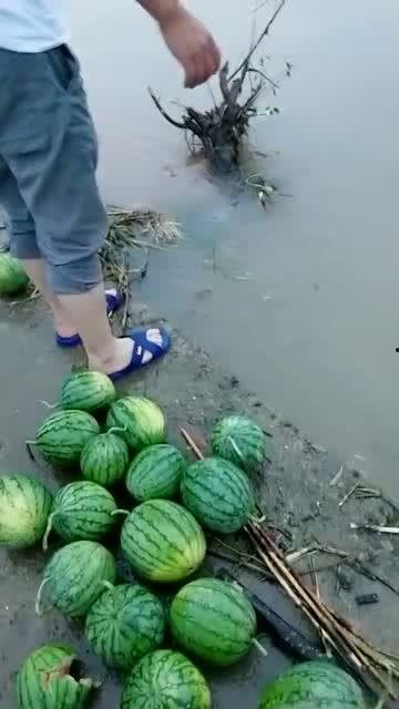 河边拍照吃瓜图片,趣味横生的拍照吃瓜瞬间