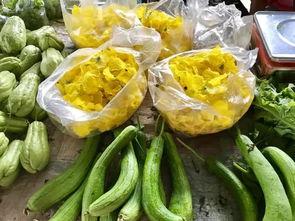 小面瓜如何吃,解锁美味新体验