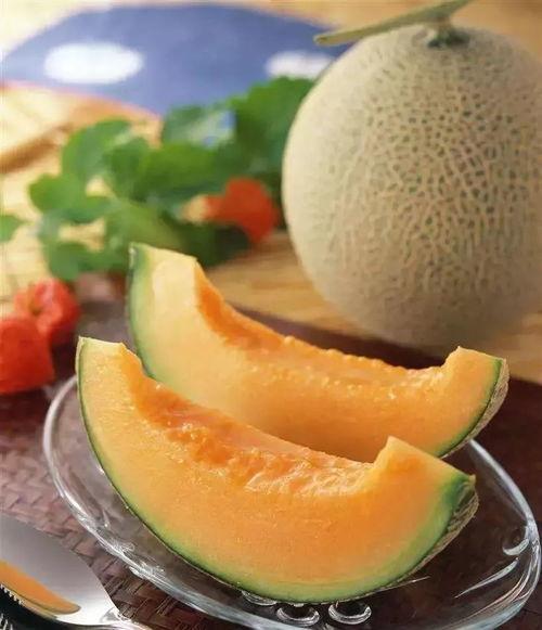 美嘉吃哈密瓜,美嘉畅享哈密瓜美味时光