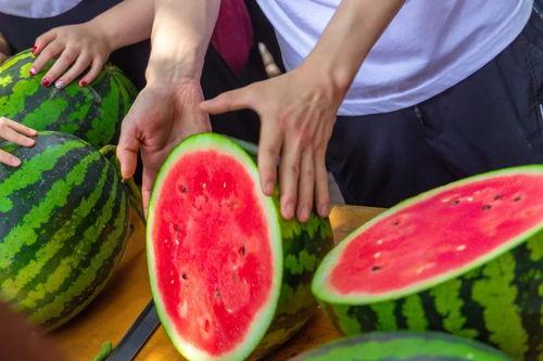 吃瓜爆料群大学,大学生们的校园生活揭秘