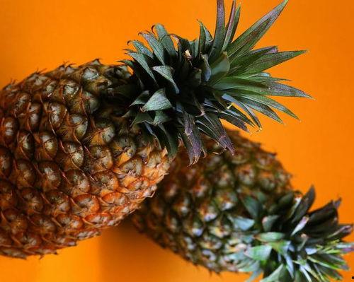 吃瓜群什么菠萝,一场趣味横生的社交狂欢