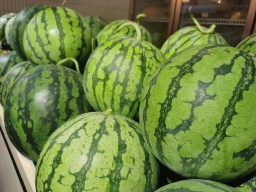 正绢刺绣吃瓜,匠心独运，吃瓜文化新演绎