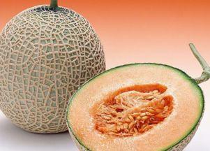 荨麻疹可以吃哈密瓜嘛