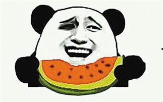 吃瓜群众是吃瓜子吗