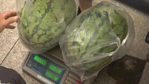 扶子瓜怎么吃,解锁美味新体验