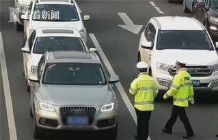 司机红灯吃瓜,司机与瓜果的奇妙邂逅