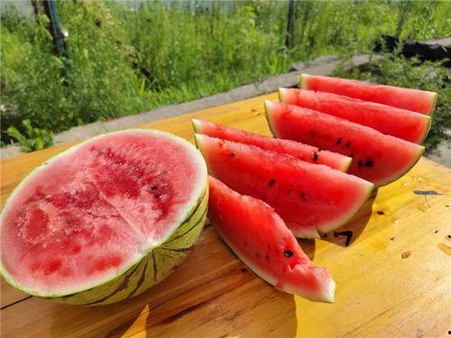 铜川新区吃瓜,夏日吃瓜盛宴，畅享清凉时光