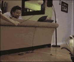 动图吃瓜,趣味横生的瞬间捕捉