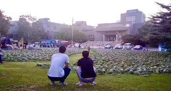 江科吃瓜事件,揭秘校园网络暴力的阴影面