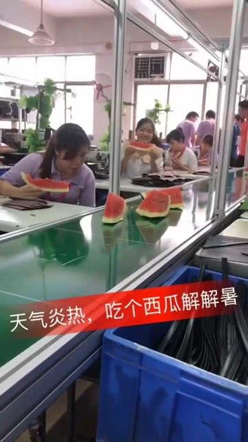 服装厂吃瓜,揭秘行业内部趣闻轶事