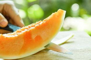 小刀吃瓜视频,揭秘娱乐圈幕后故事