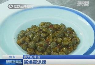 瓜宝吃泥螺,瓜宝的泥螺美食之旅