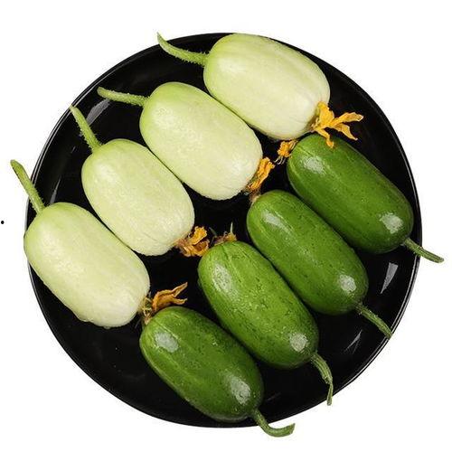 巨大毛瓜怎么吃最好,巨无霸毛瓜的多样美味食用指南