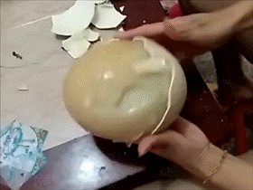 miku吃瓜gif,萌动瞬间，笑翻网友