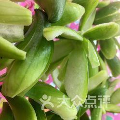 小角瓜可以吃吗,健康美味，放心食用指南