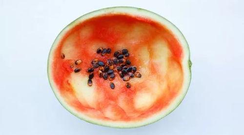 勺子 吃瓜神器图片大全,勺子变“吃瓜神器”，趣味图片大盘点