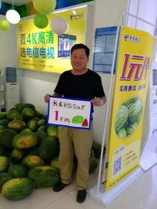 驻马店吃瓜基地,夏日消暑新去处，瓜果飘香乐翻天