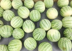 真的只是吃瓜,网络时代的围观文化现象