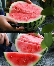 杭州吃瓜订婚,一场别开生面的订婚仪式引发网友热议