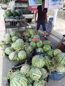 广州亭岗吃瓜事件,一场引发热议的街头冲突纪实