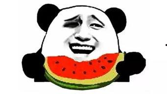 吃瓜打卡是什么,网络潮流背后的社交现象