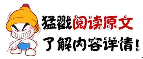 头条吃瓜创作,明星恋情、幕后黑幕大曝光！