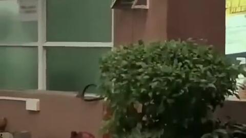 延津吃瓜新闻,揭秘当地奇闻轶事