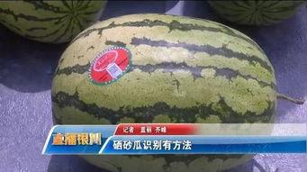 吃瓜群众快速学习