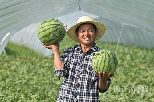 尚北邵吃瓜,揭秘娱乐圈幕后故事