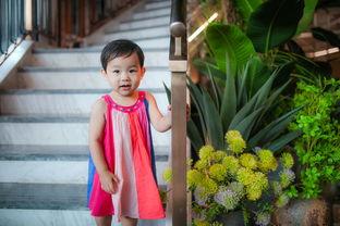 成都吃瓜罗燕,吃瓜界的“瓜王”传奇