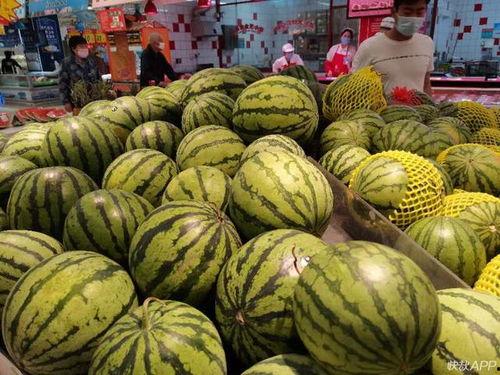 福临城吃瓜事件,一场网络热议背后的真相揭秘