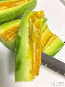 吃瓜个人经历,我的吃瓜经历与感悟