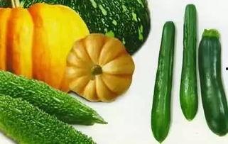 跟着瑶瑶吃瓜,跟着吃瓜，品味人生百态