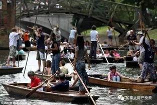 吃瓜船视角,揭秘娱乐圈幕后风云