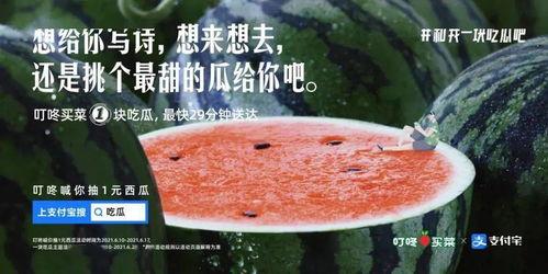 吃瓜烙的文案,一场舌尖上的美食盛宴