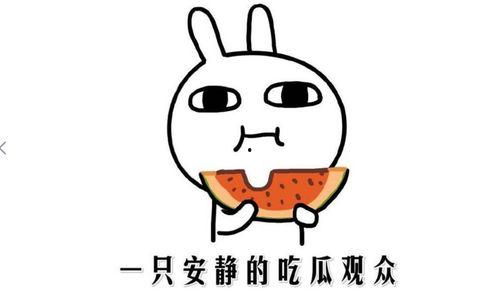 网络上吃瓜啥意思,揭秘“吃瓜”背后的文化现象