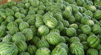 龙港财富吃瓜事件