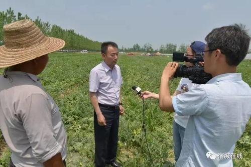 耀洋吃瓜,揭秘娱乐圈幕后故事