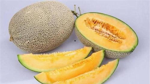 哈密瓜 何时吃,哈密瓜的最佳食用时节揭秘