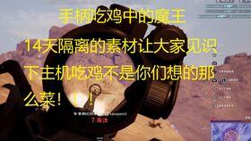 呆瓜小雨吃鸡,呆瓜小雨的欢乐吃鸡之旅