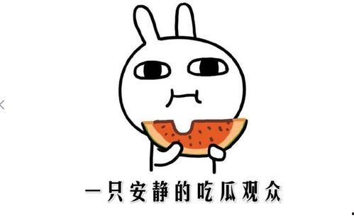 快手看戏吃瓜事件,揭秘网络直播的狂欢与争议